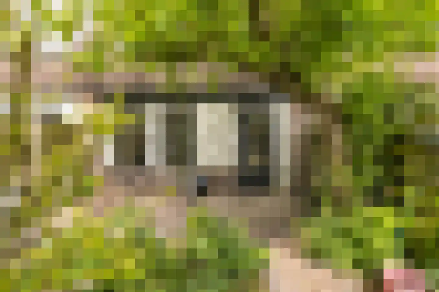 Bickerlaan 78 Santpoort-Noord thumbnail 24