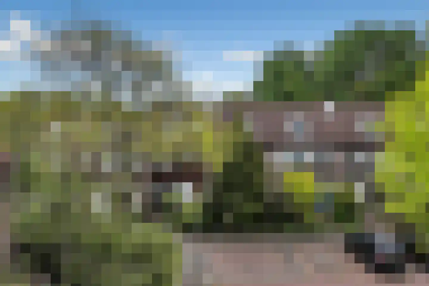 Bickerlaan 78 Santpoort-Noord thumbnail 4