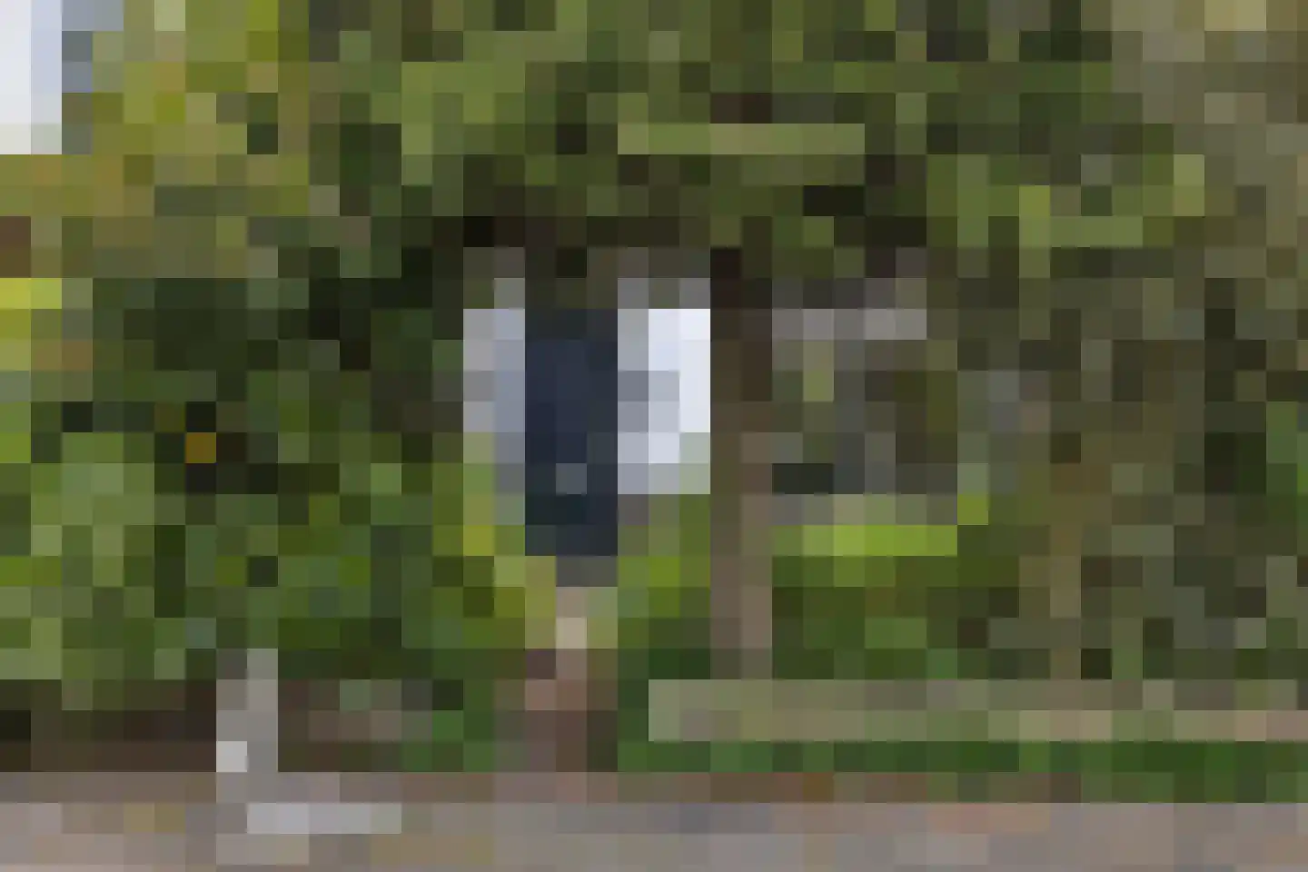 Bickerlaan 78 Santpoort-Noord thumbnail 6