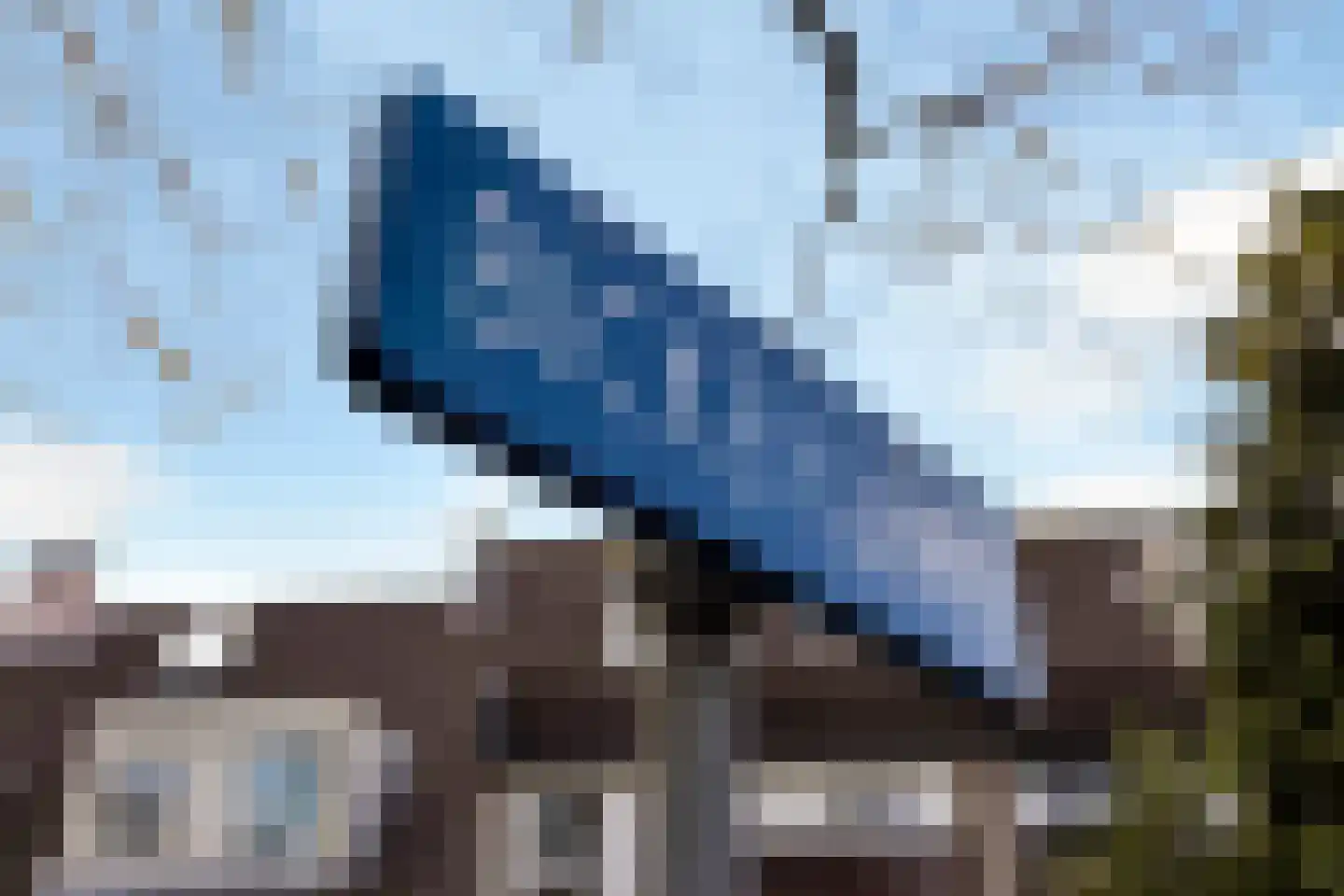 Bickerlaan 78 Santpoort-Noord thumbnail 7