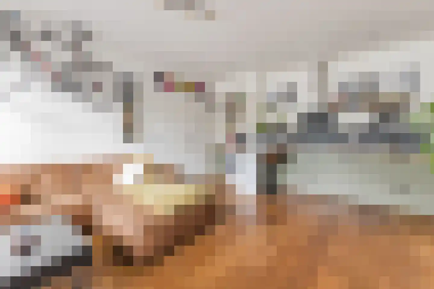 Bickersgracht 52 H Amsterdam thumbnail 8