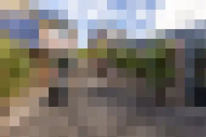 Bickershorn 57 Oostknollendam thumbnail 12