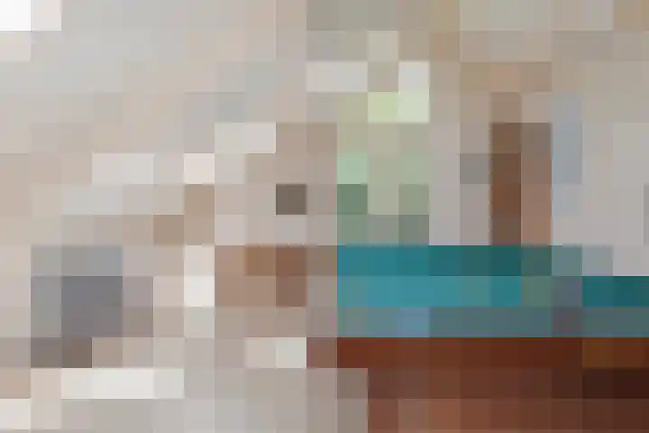 Bickerslaan 11 Schoorl thumbnail 20