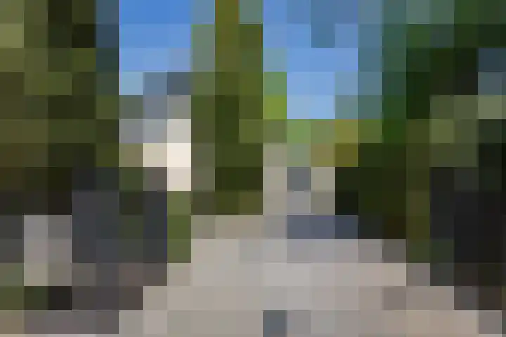 Bickerslaan 11 Schoorl thumbnail 21