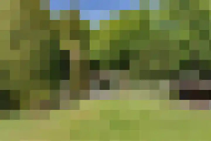 Bickerslaan 11 Schoorl thumbnail 24