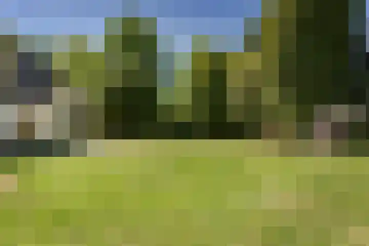Bickerslaan 11 Schoorl thumbnail 26