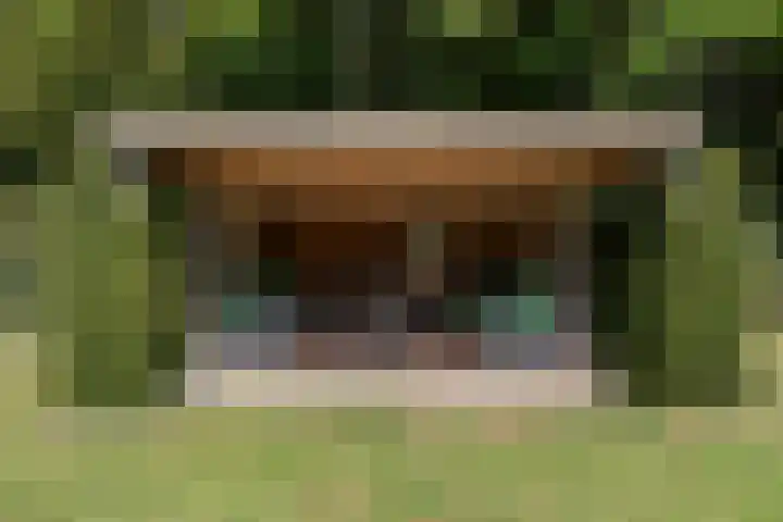 Bickerslaan 11 Schoorl thumbnail 27
