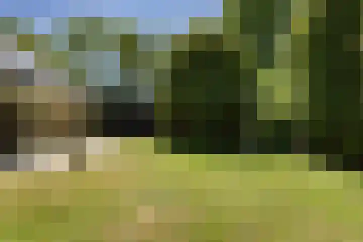 Bickerslaan 11 Schoorl thumbnail 28