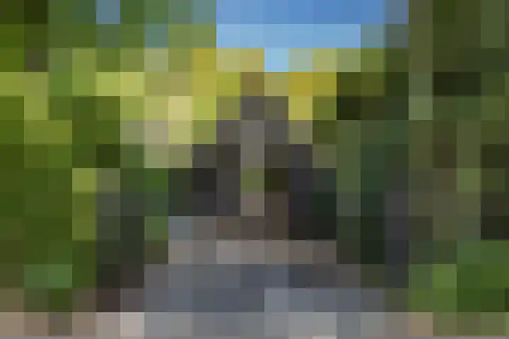 Bickerslaan 11 Schoorl thumbnail 29
