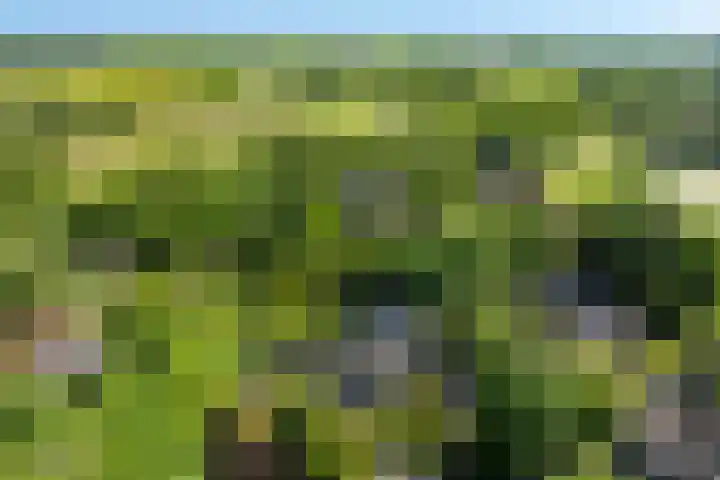 Bickerslaan 11 Schoorl thumbnail 31