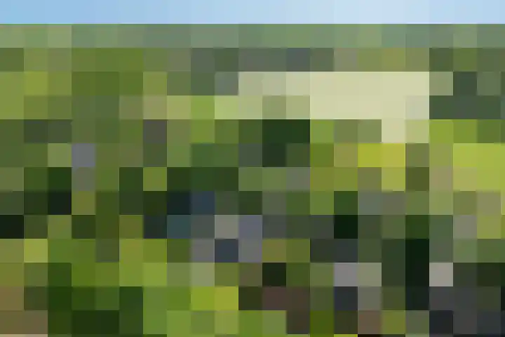 Bickerslaan 11 Schoorl thumbnail 32