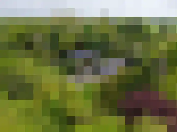 Bickerslaan 11 Schoorl thumbnail 33