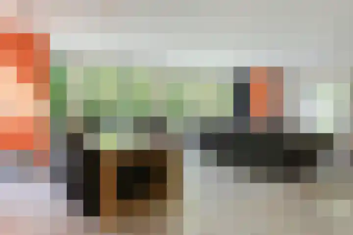 Bickerslaan 11 Schoorl thumbnail 6