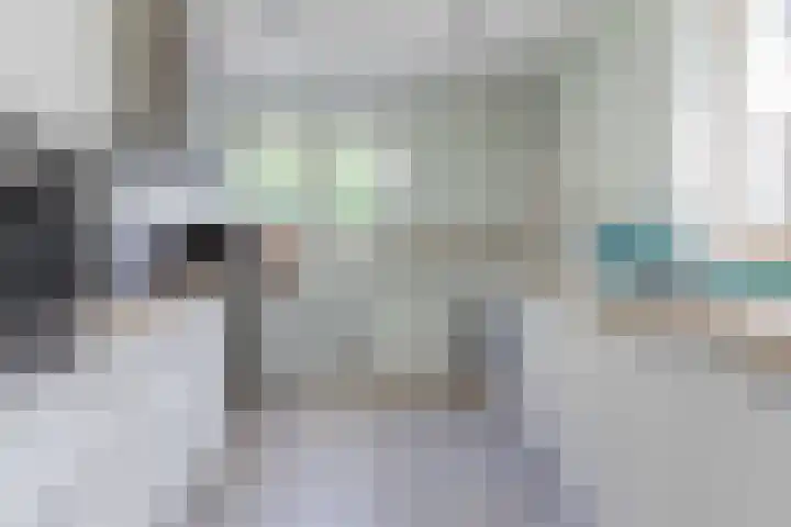 Bickerslaan 11 Schoorl thumbnail 8