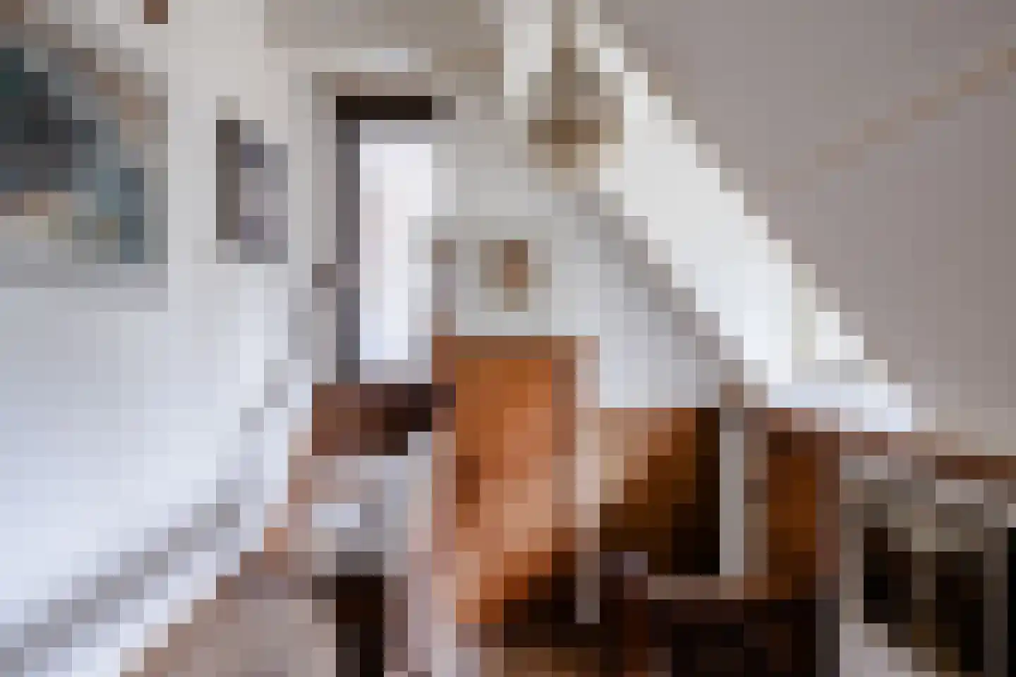 Bickerslaan 5 Schoorl thumbnail 18