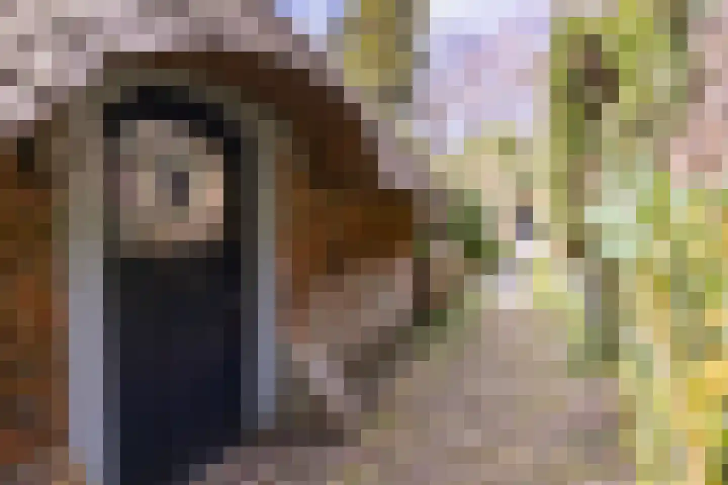 Bickerslaan 5 Schoorl thumbnail 25