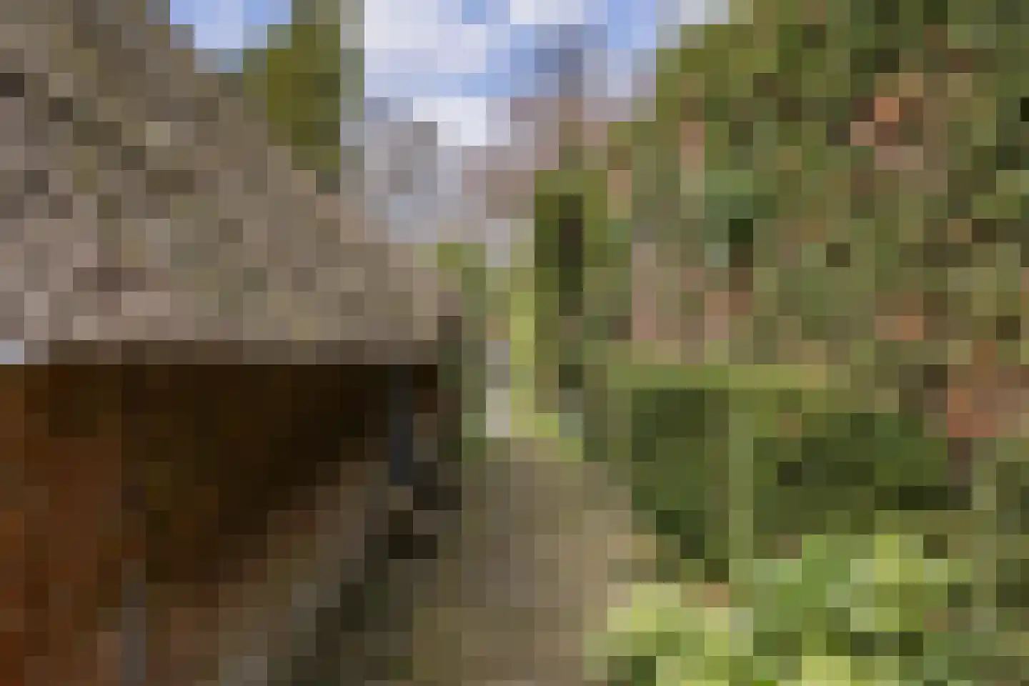 Bickerslaan 5 Schoorl thumbnail 26