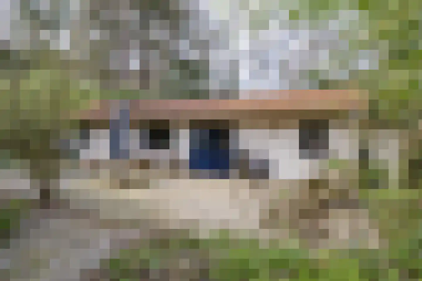 Bickerslaan 5 Schoorl thumbnail 27