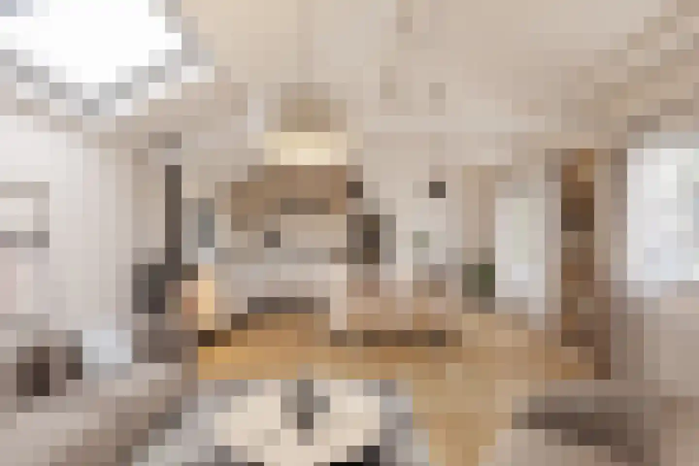 Bickerslaan 5 Schoorl thumbnail 28