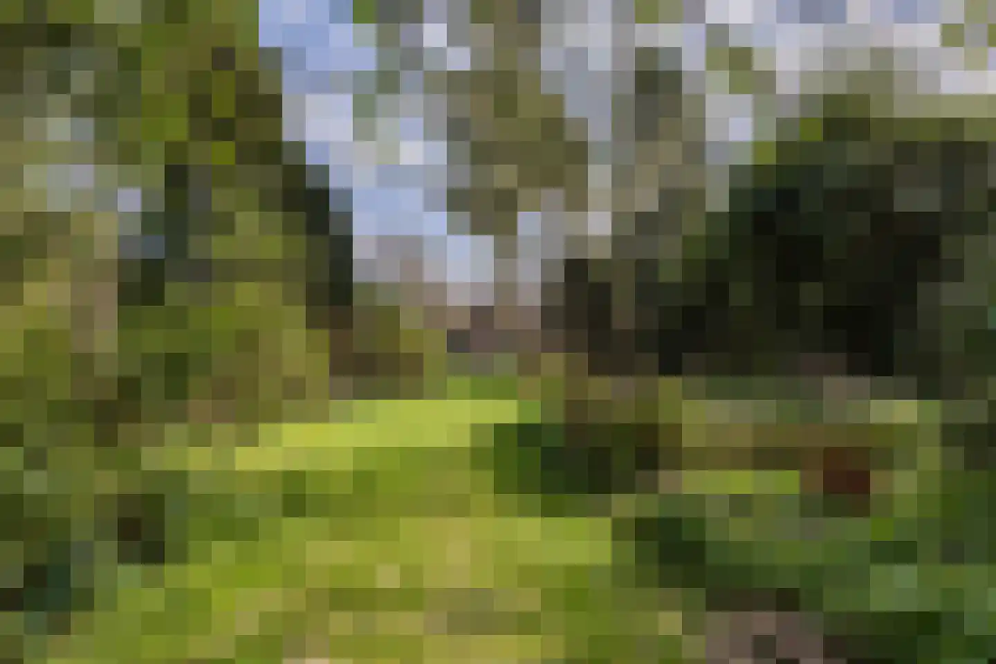 Bickerslaan 5 Schoorl thumbnail 33