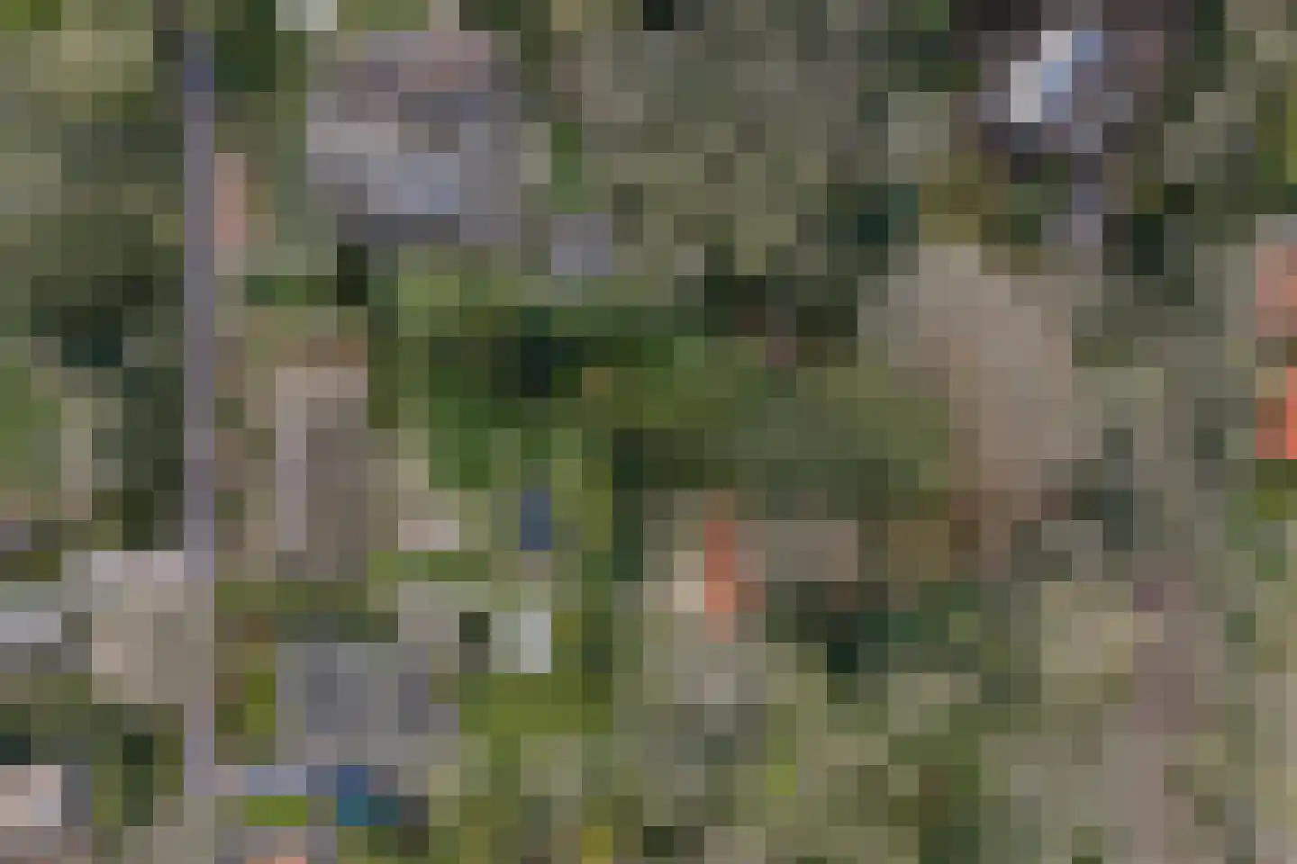 Bickerslaan 5 Schoorl thumbnail 34