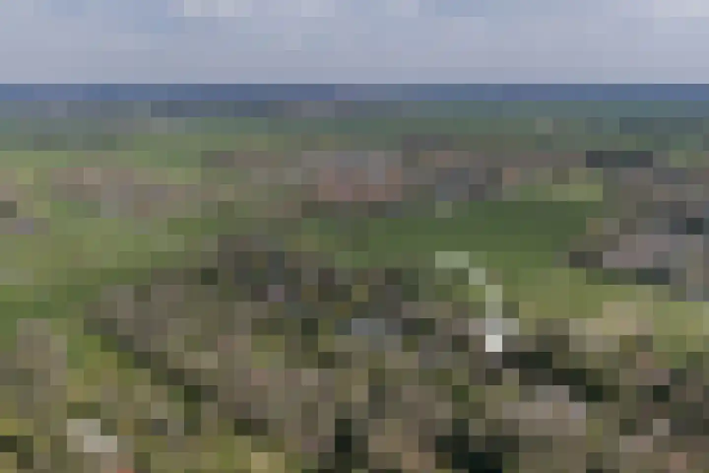 Bickerslaan 5 Schoorl thumbnail 4