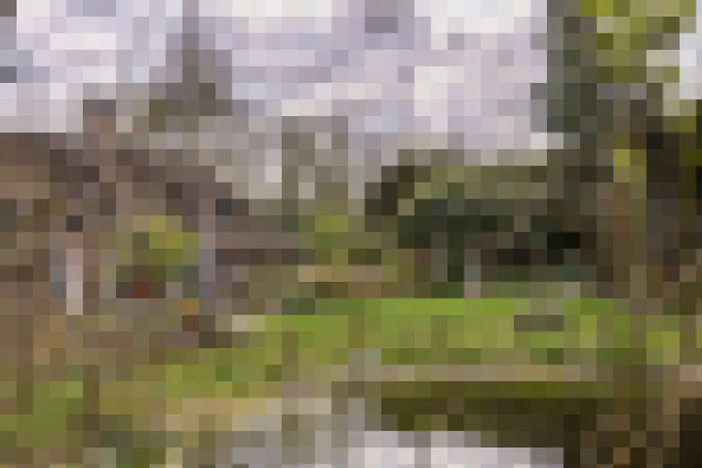 Bickerslaan 5 Schoorl thumbnail 5