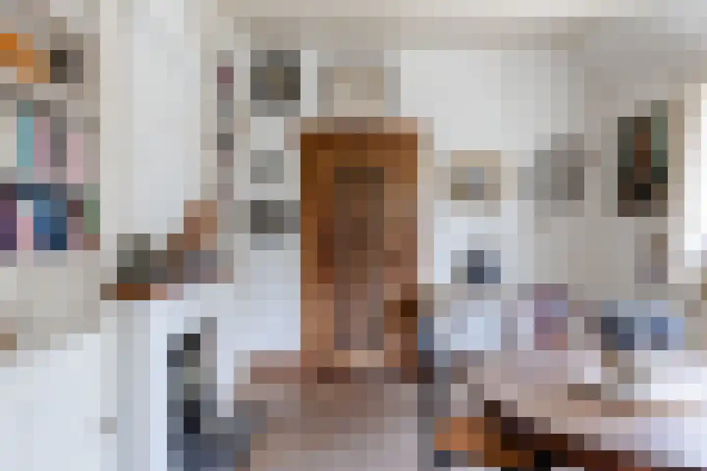 Bickerslaan 5 Schoorl thumbnail 7