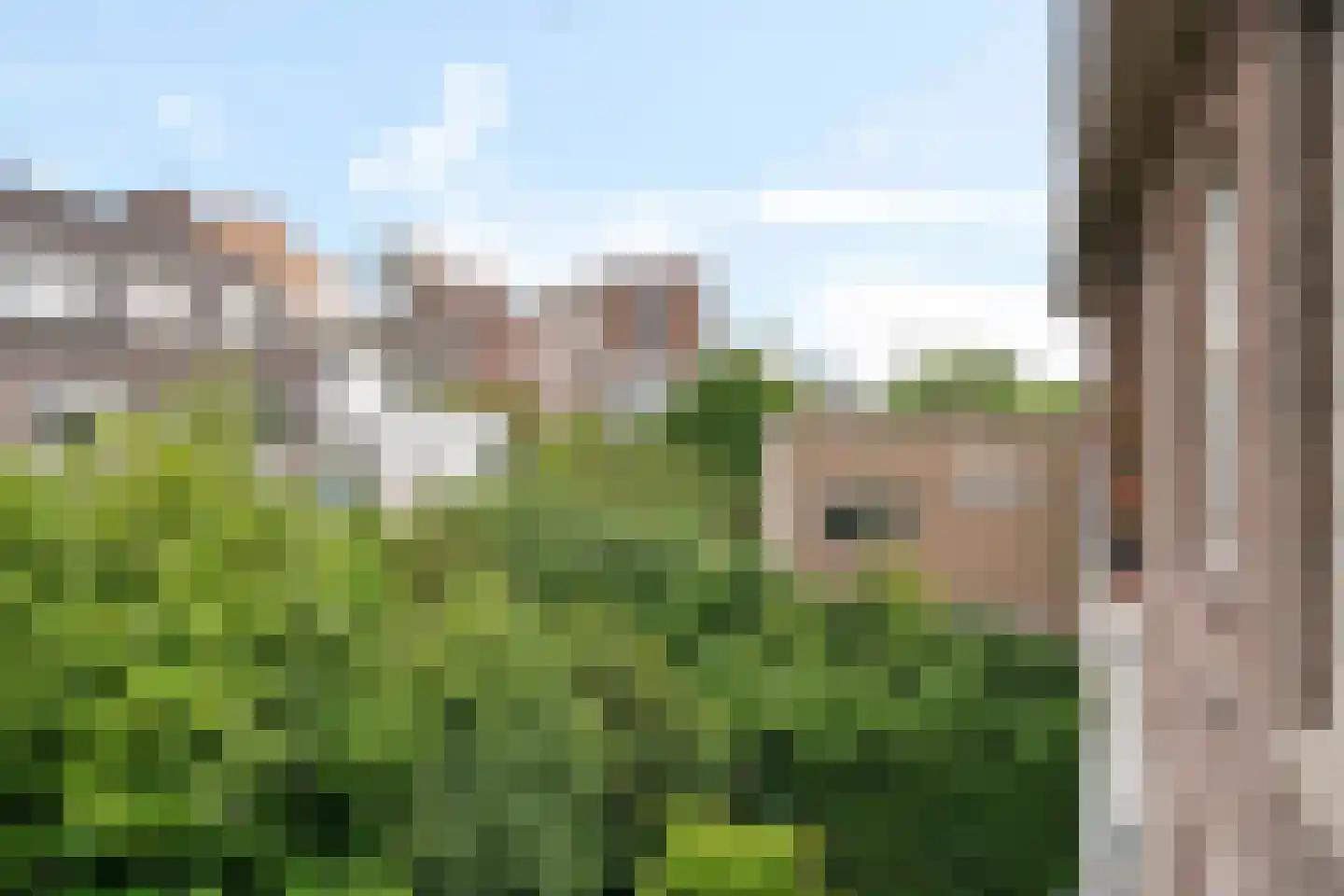 Bickerstraat 12 A Rotterdam thumbnail 24