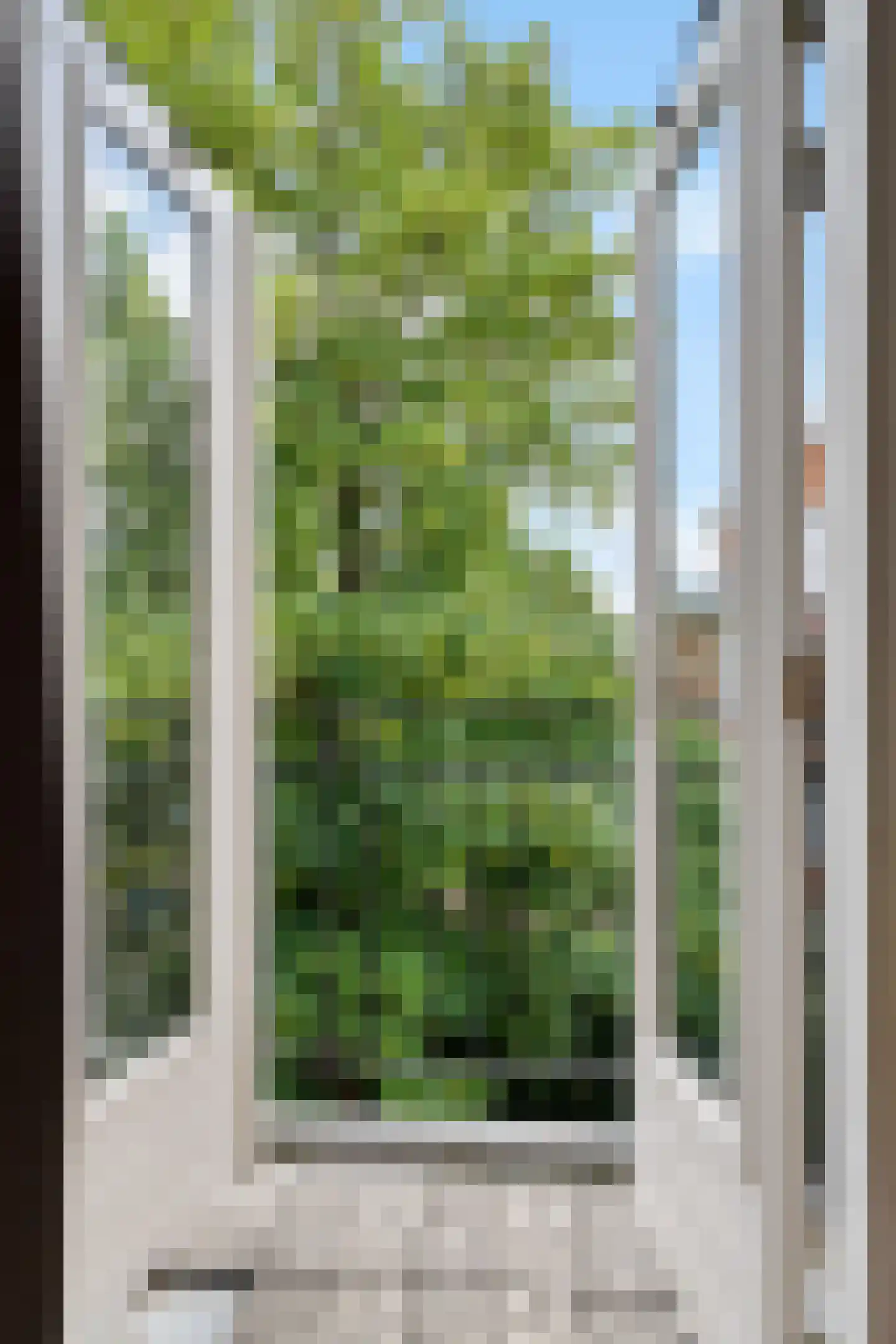 Bickerstraat 12 A Rotterdam thumbnail 27