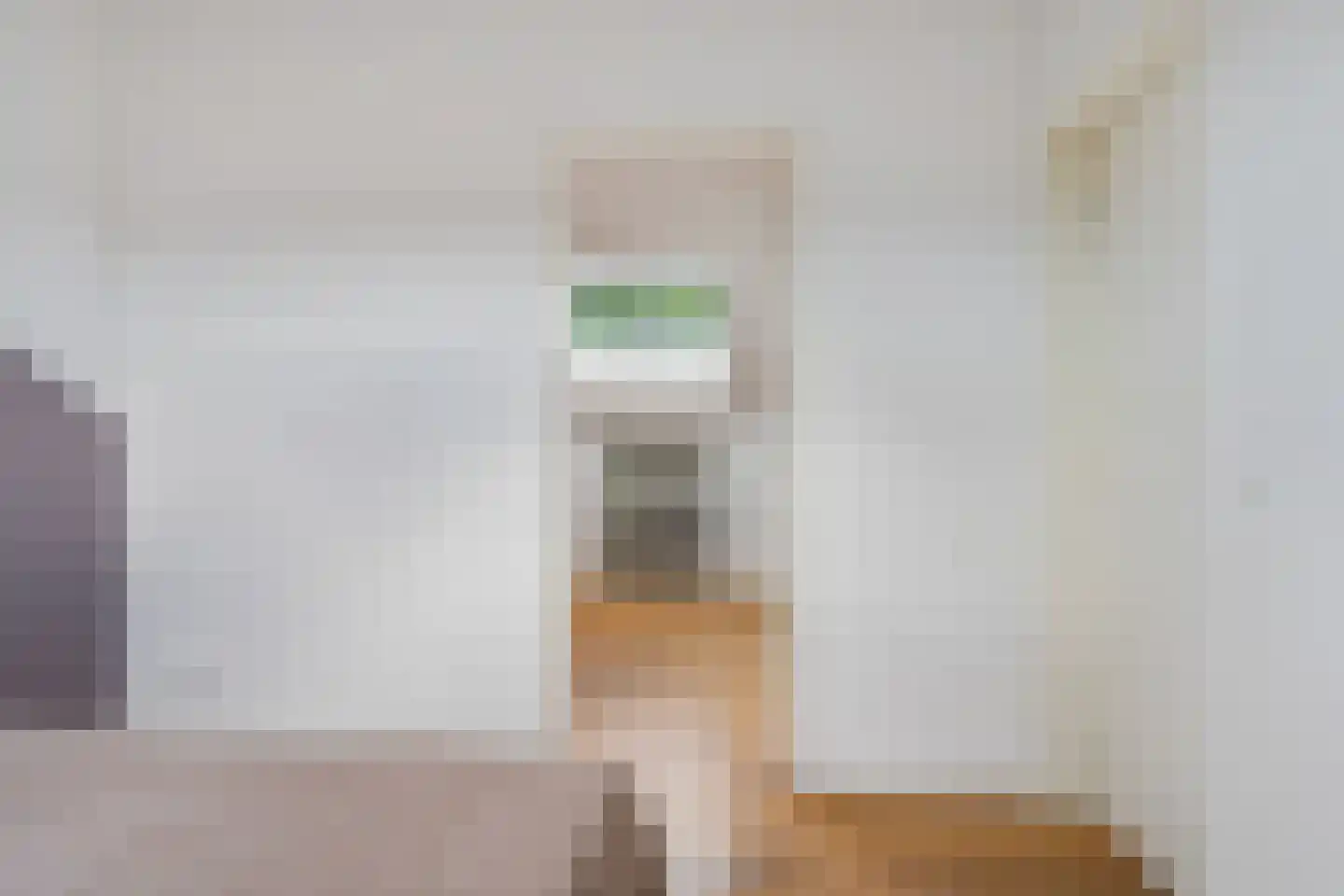 Bickerstraat 12 A Rotterdam thumbnail 33