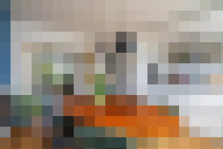 Bickerstraat 12 B in Rotterdam