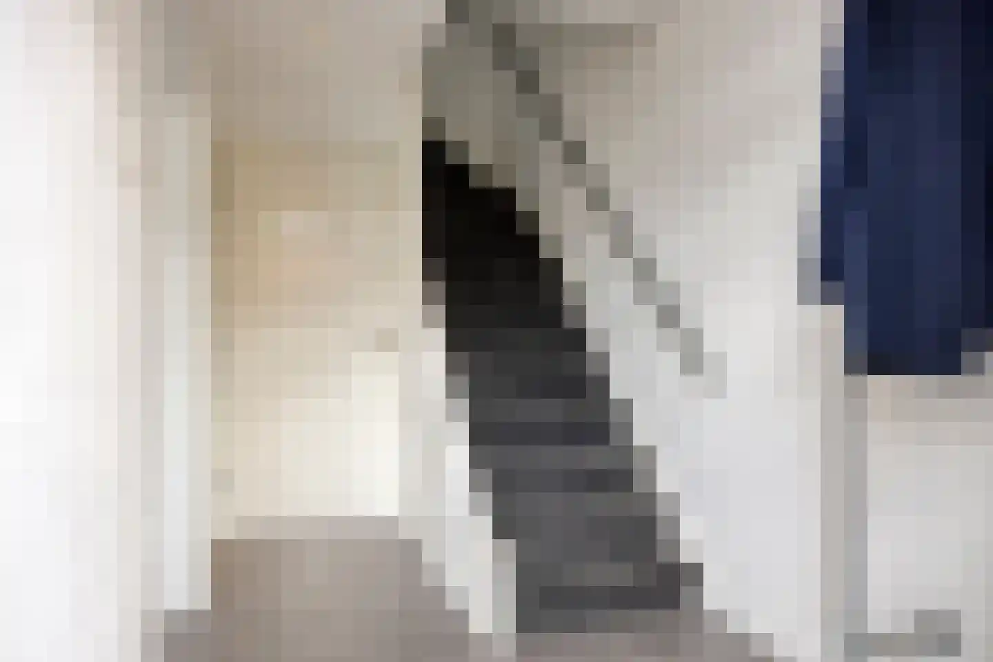 Bickerstraat 13 Heerhugowaard thumbnail 13