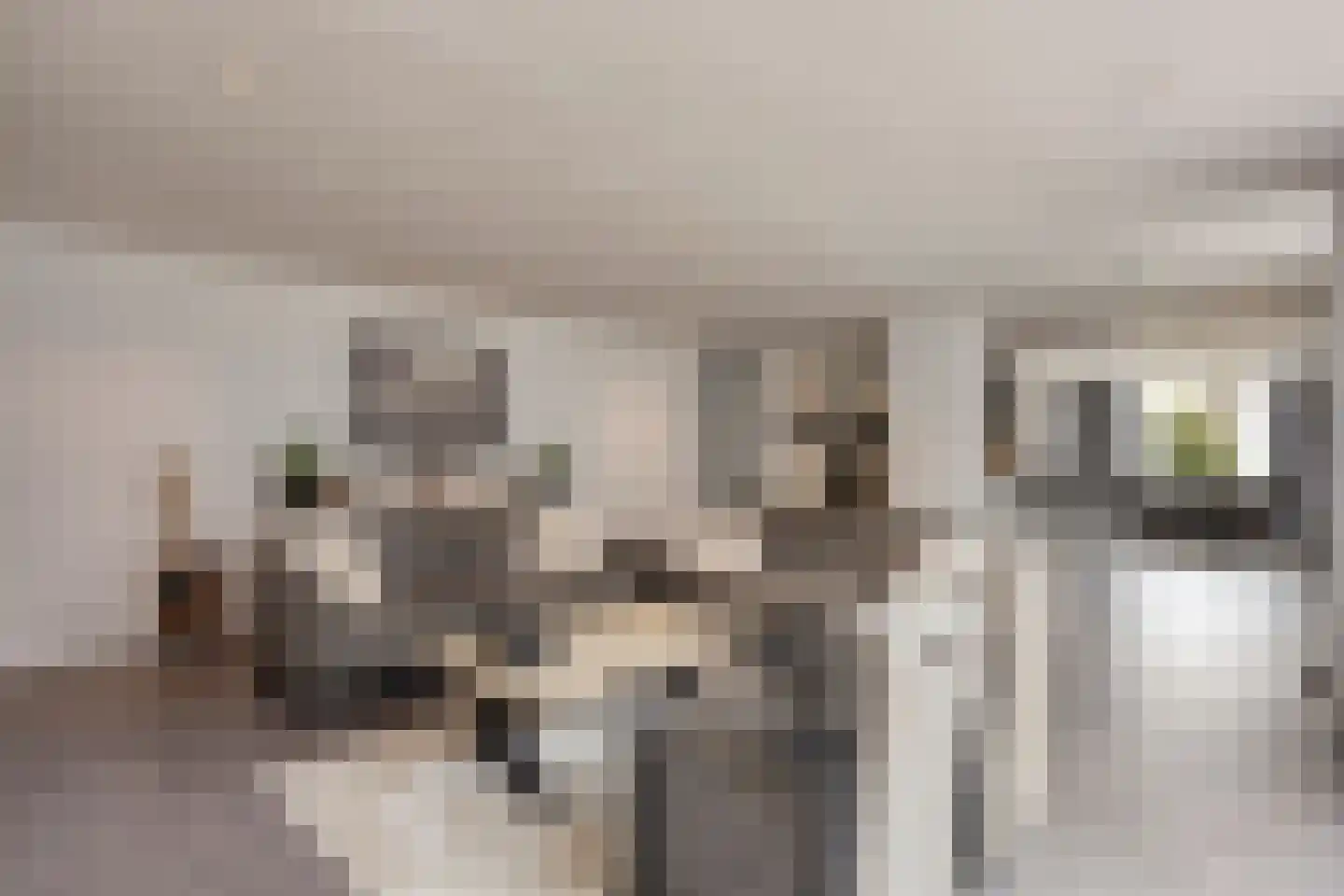 Bickerstraat 13 Heerhugowaard thumbnail 16