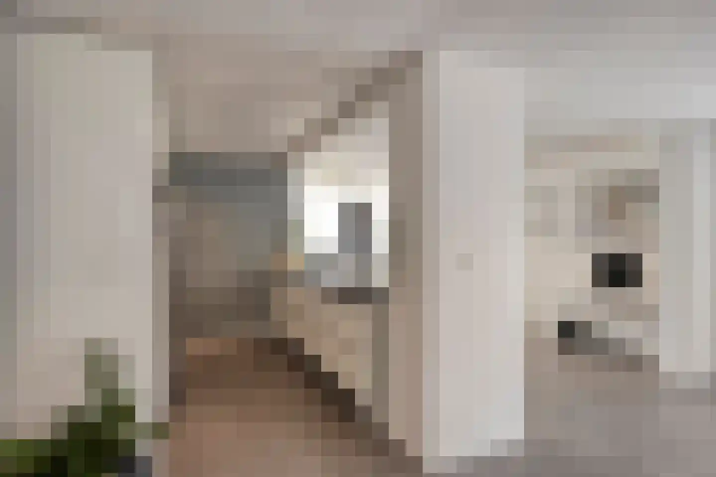 Bickerstraat 13 Heerhugowaard thumbnail 30