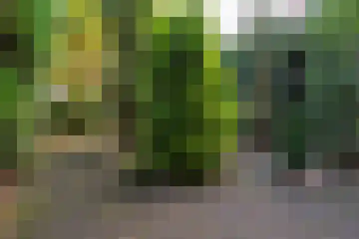 Bickerstraat 18 Rotterdam thumbnail 37