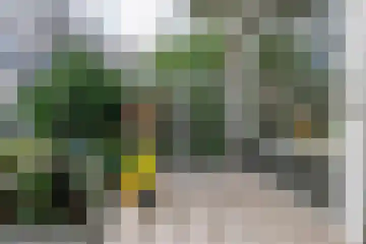 Bickerstraat 18 Rotterdam thumbnail 39