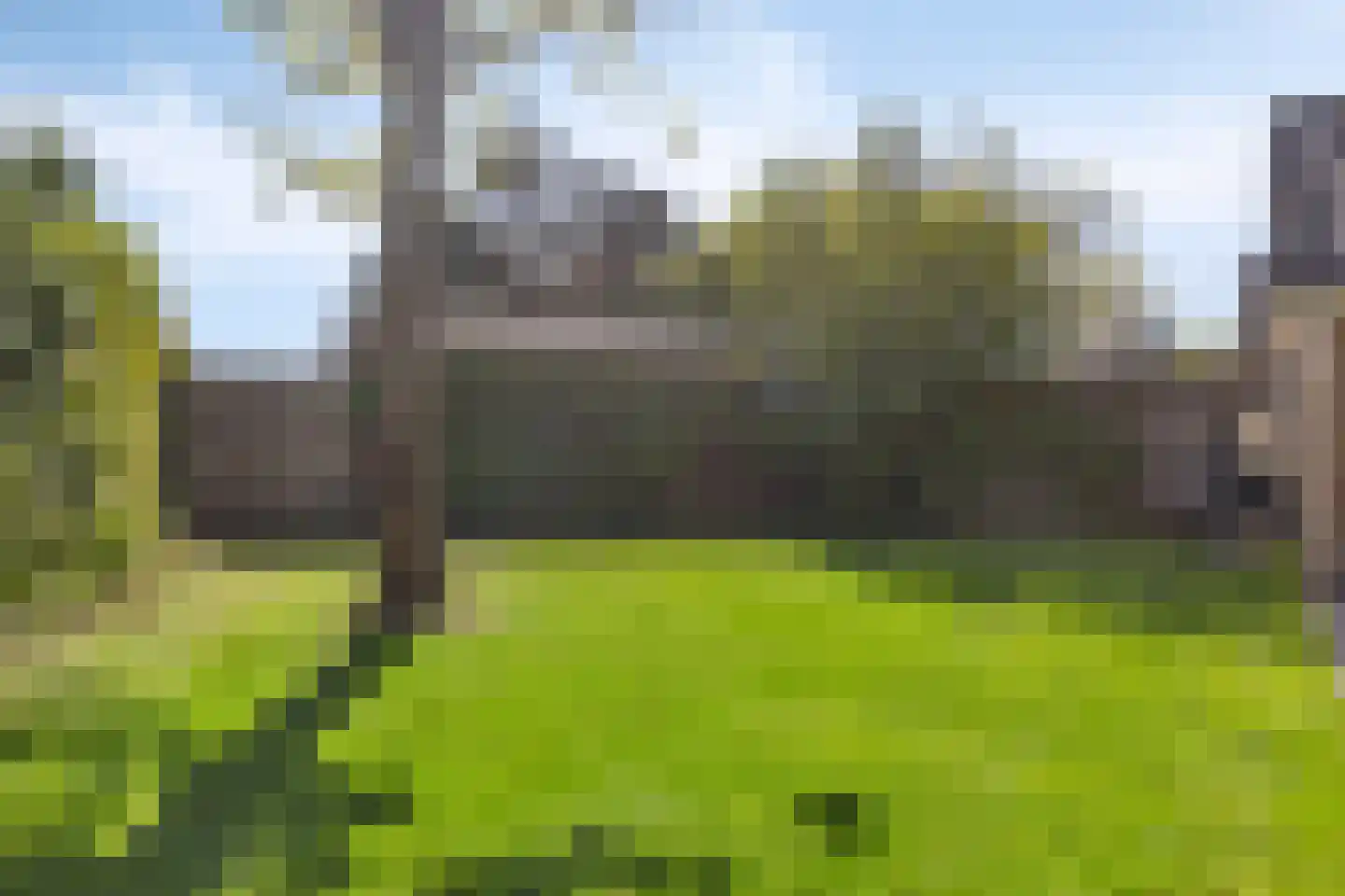 Bickerstraat 70 A Heerhugowaard thumbnail 22