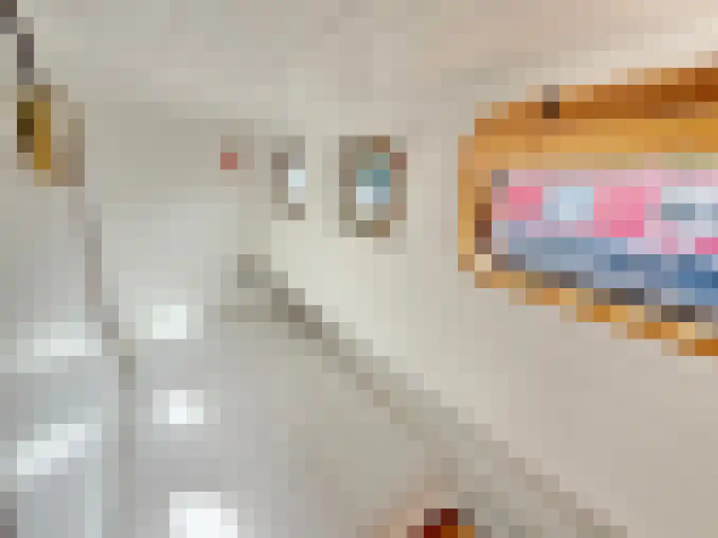 Bickerswerf 2 Amsterdam thumbnail 13