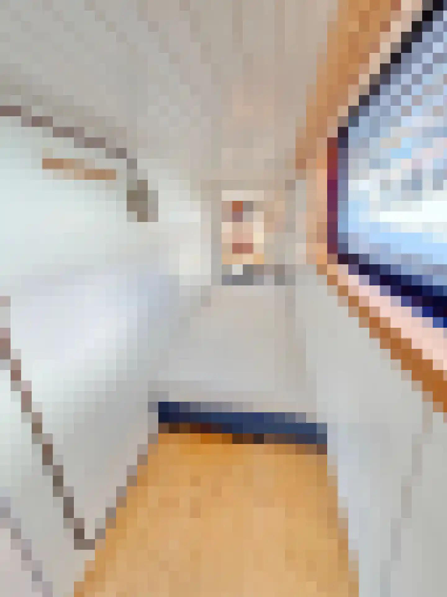 Bickerswerf 2 Amsterdam thumbnail 8