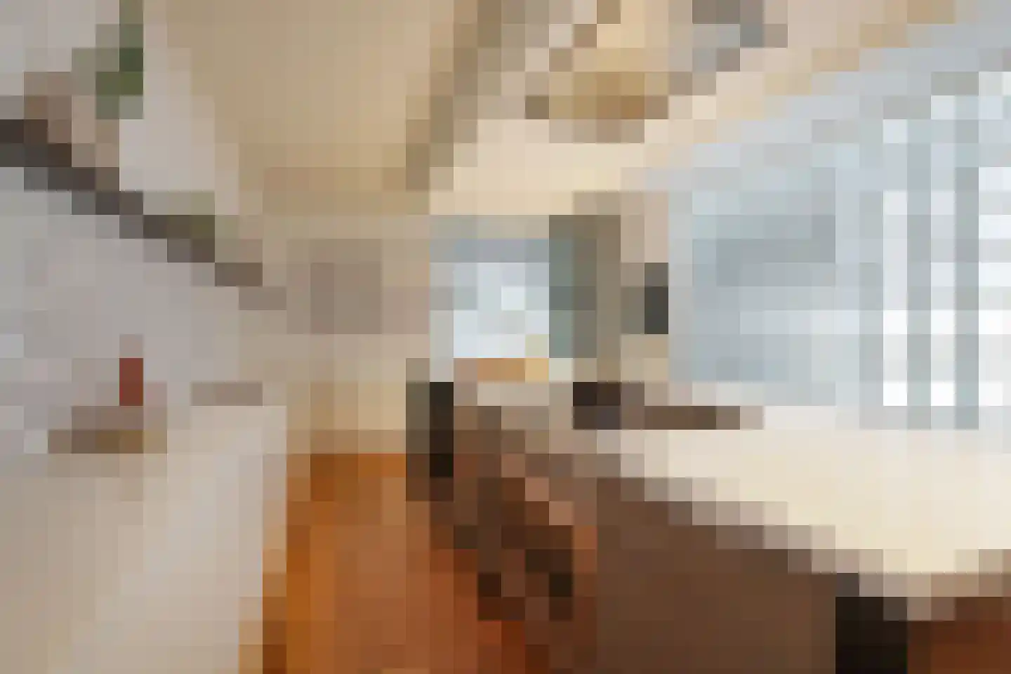 Bickerswerf 30 Amsterdam thumbnail 19