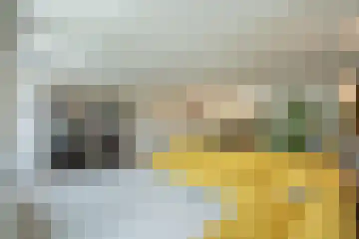Bickerswerf 33 Amsterdam thumbnail 12