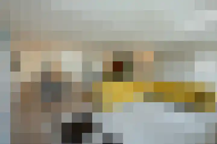 Bickerswerf 33 Amsterdam thumbnail 13