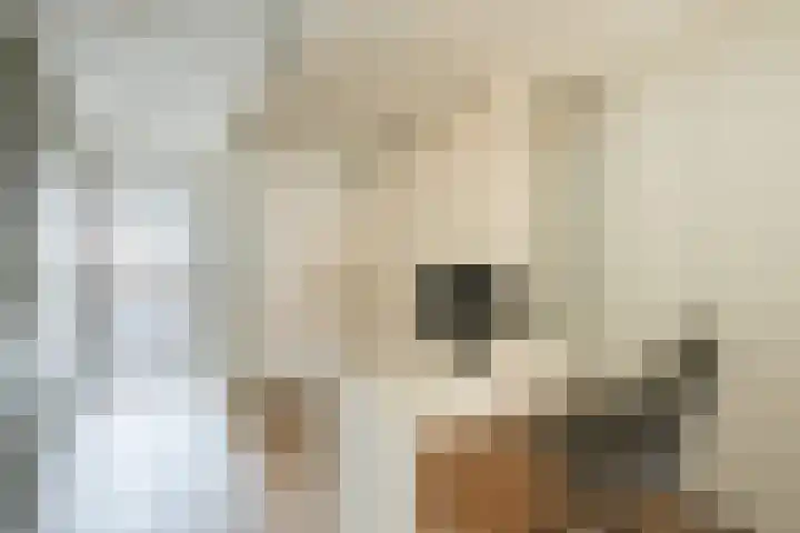 Bickerswerf 33 Amsterdam thumbnail 20