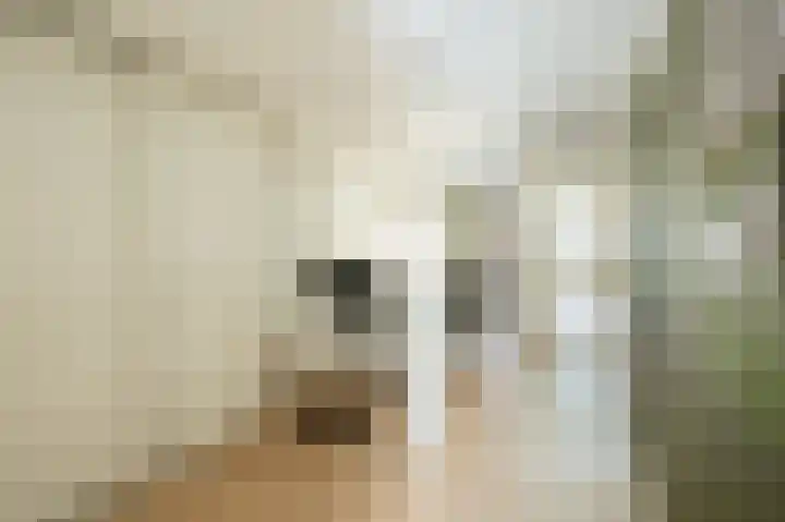 Bickerswerf 33 Amsterdam thumbnail 21