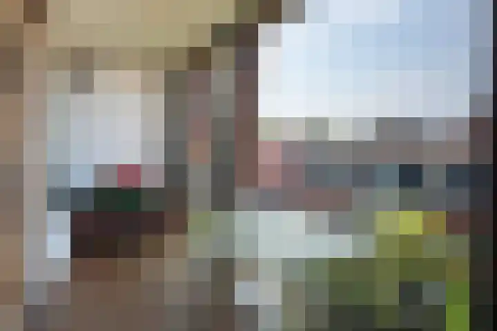 Bickerswerf 33 Amsterdam thumbnail 25