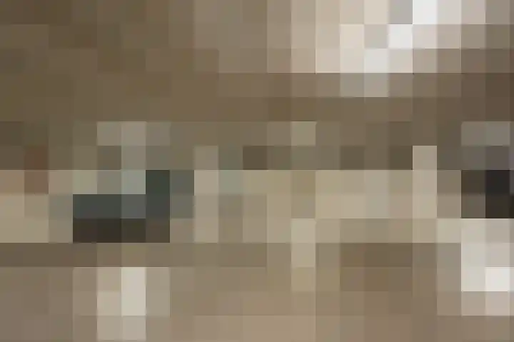 Bickerswerf 33 Amsterdam thumbnail 32