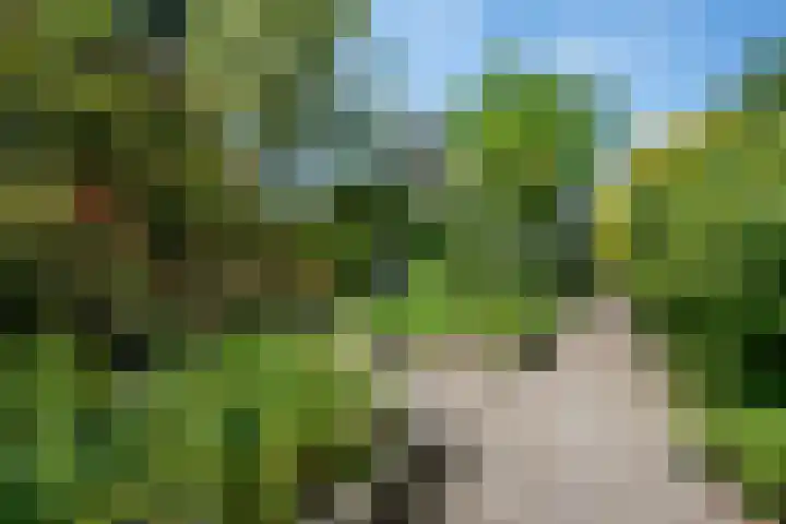 Bickerswerf 33 Amsterdam thumbnail 34
