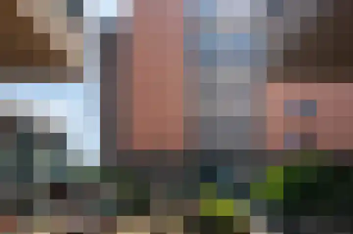 Bickerswerf 33 Amsterdam thumbnail 36