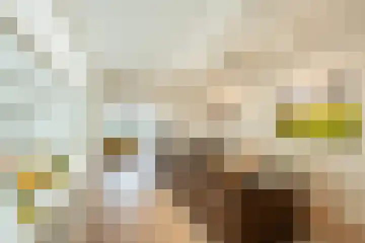 Bickerswerf 33 Amsterdam thumbnail 5